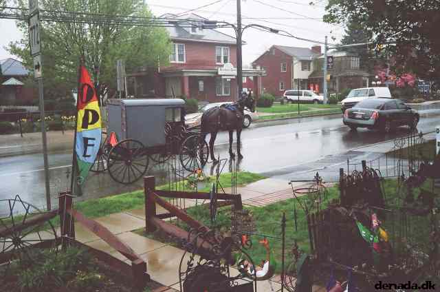 * Image 54