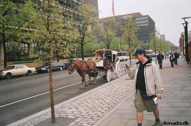 * Image 61