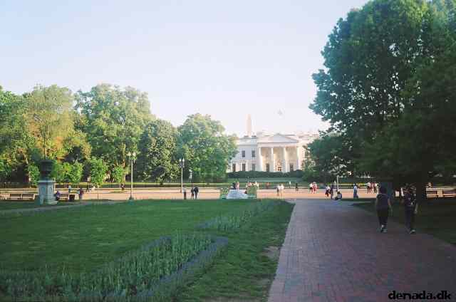 * Image 104