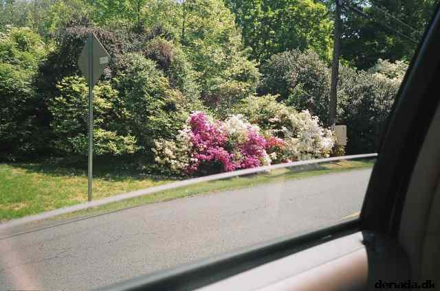 * Image 113