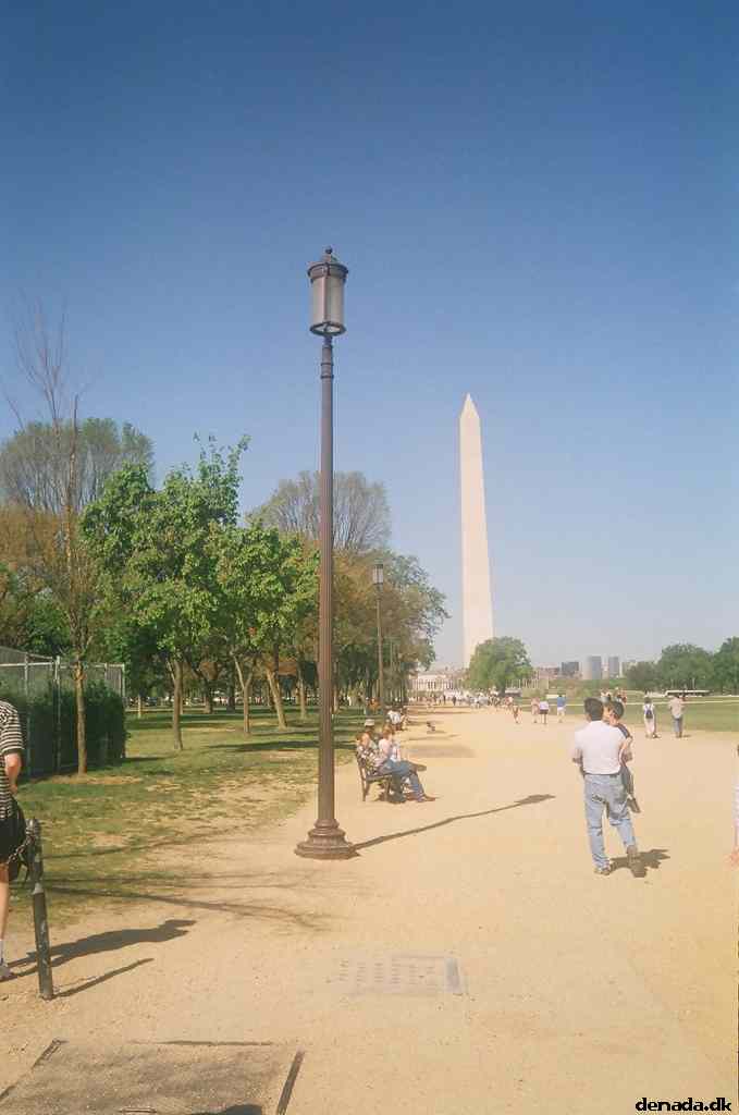 * Image 31