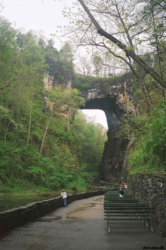 * Image 42