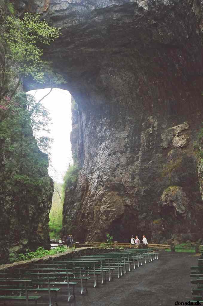 * Image 45