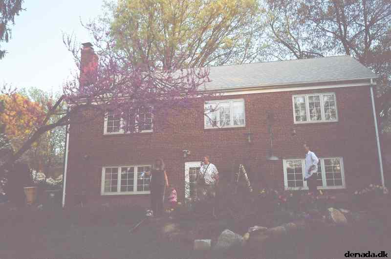 * Image 11