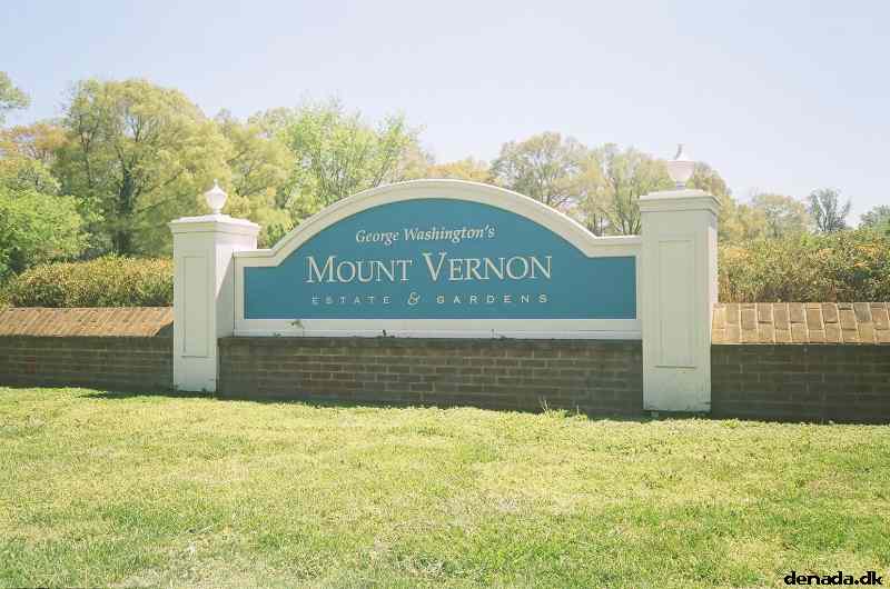 * Image 18