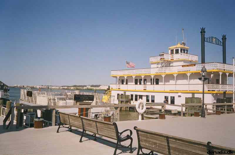 * Image 20