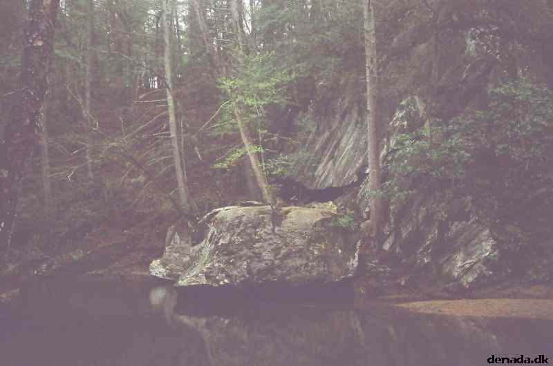 * Image 47