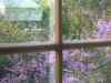 PHTO0023.JPG - 2003:01:01 02:25