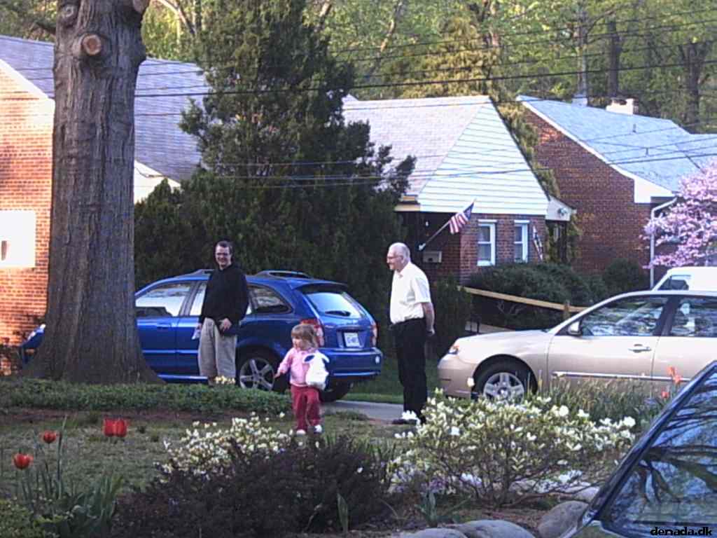 * Image 21