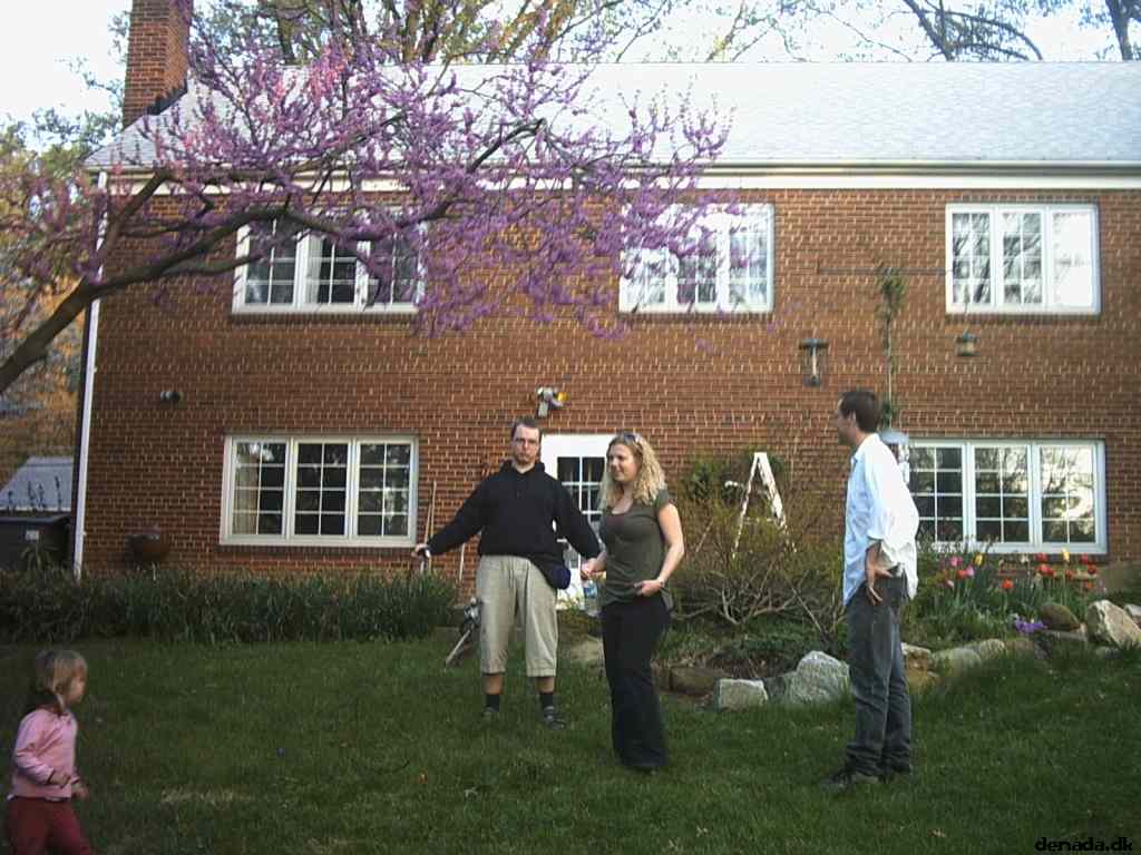 * Image 23