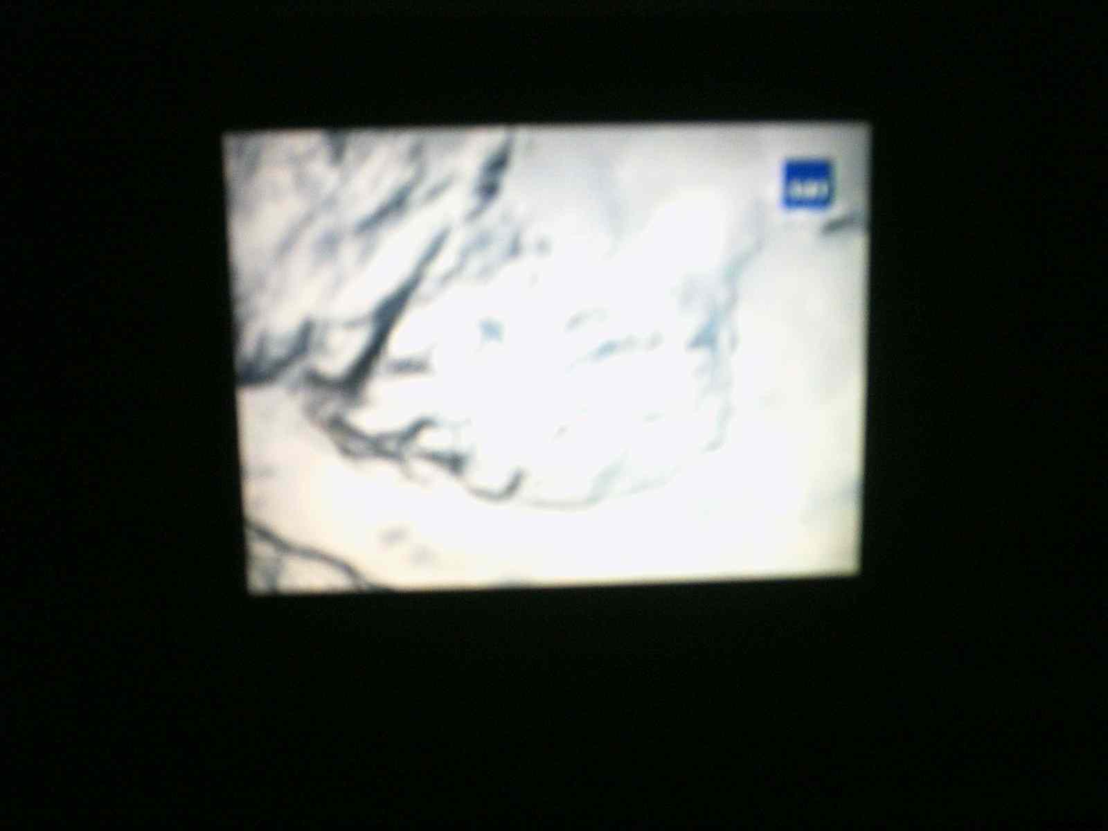 * Image 5