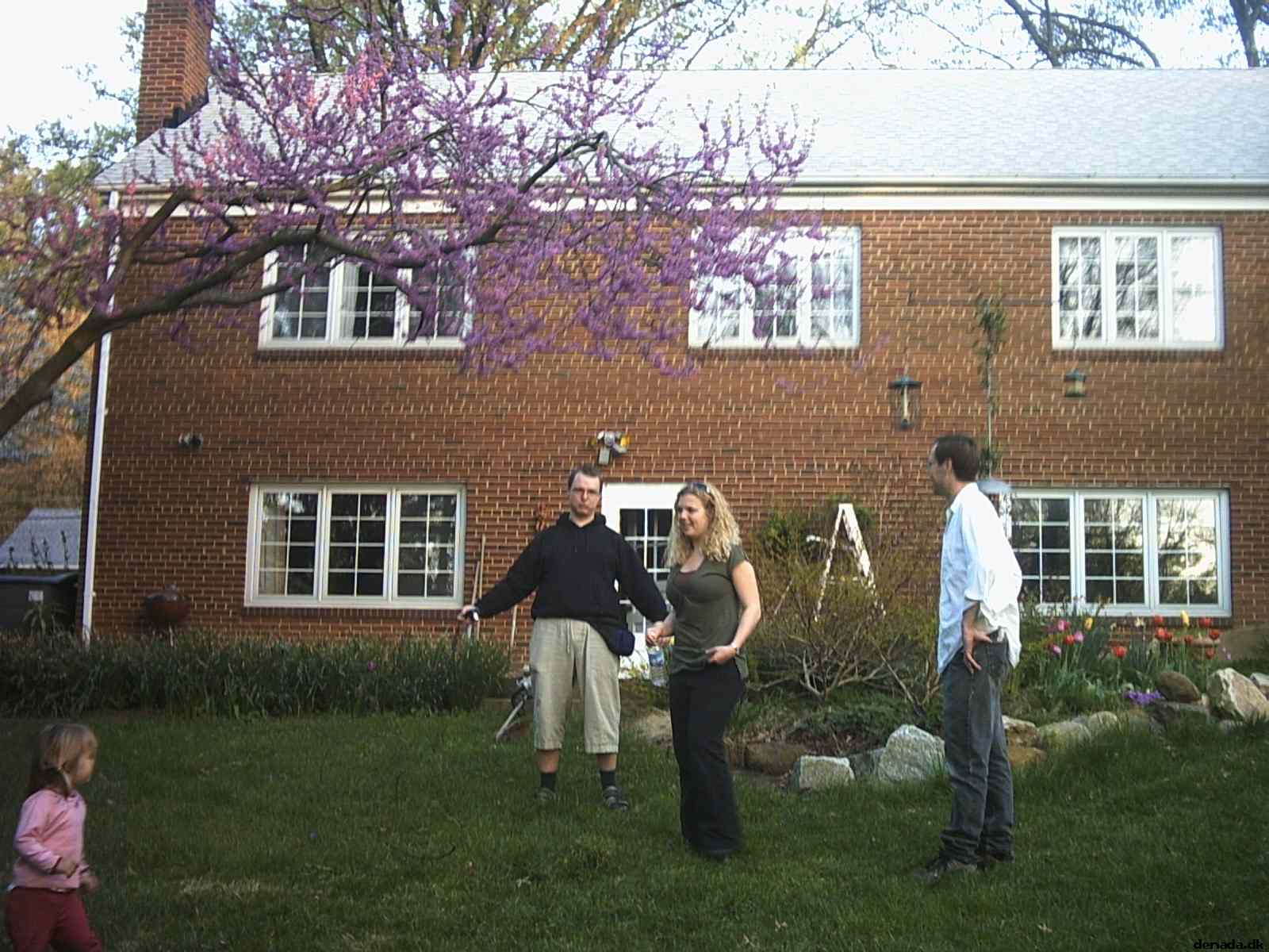 * Image 23