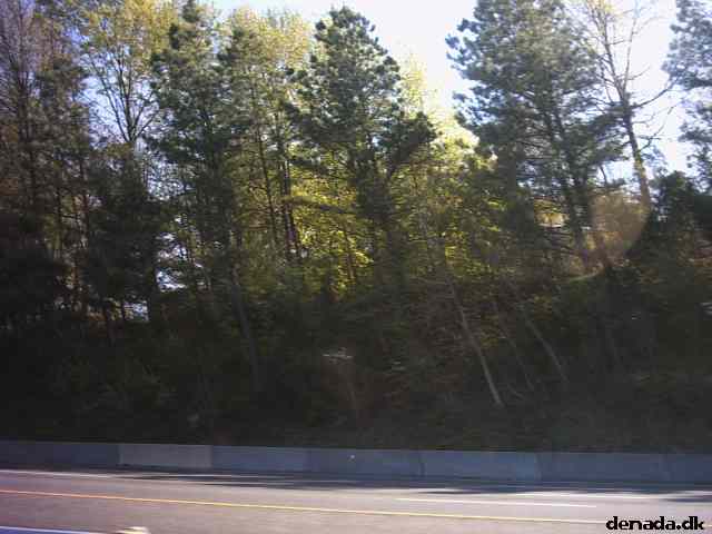 * Image 9