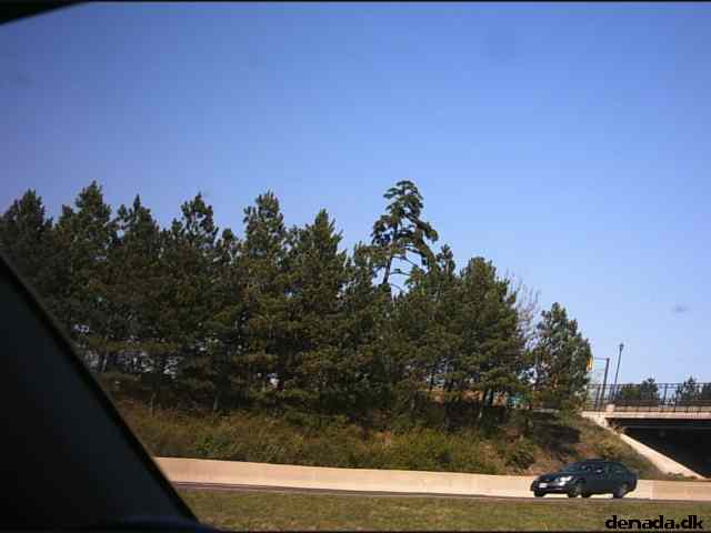 * Image 10