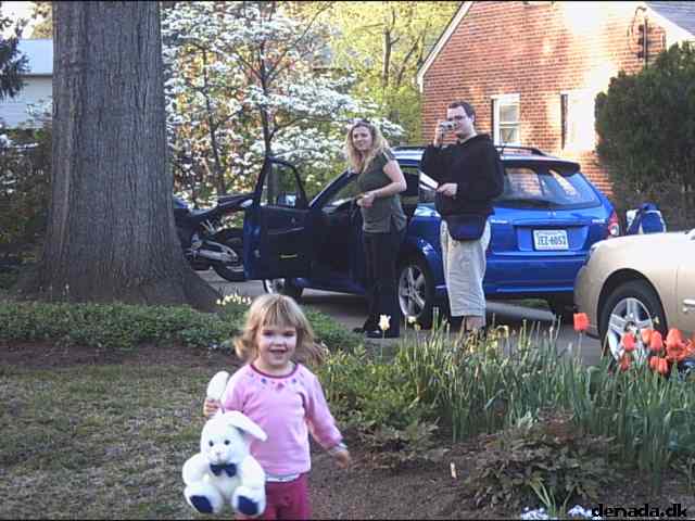 * Image 19
