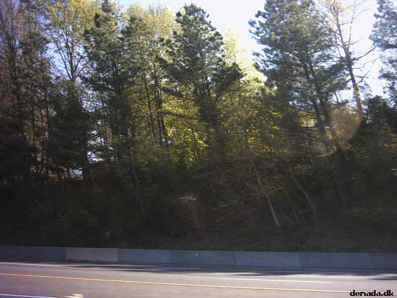 * Image 9