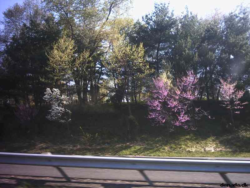 * Image 11