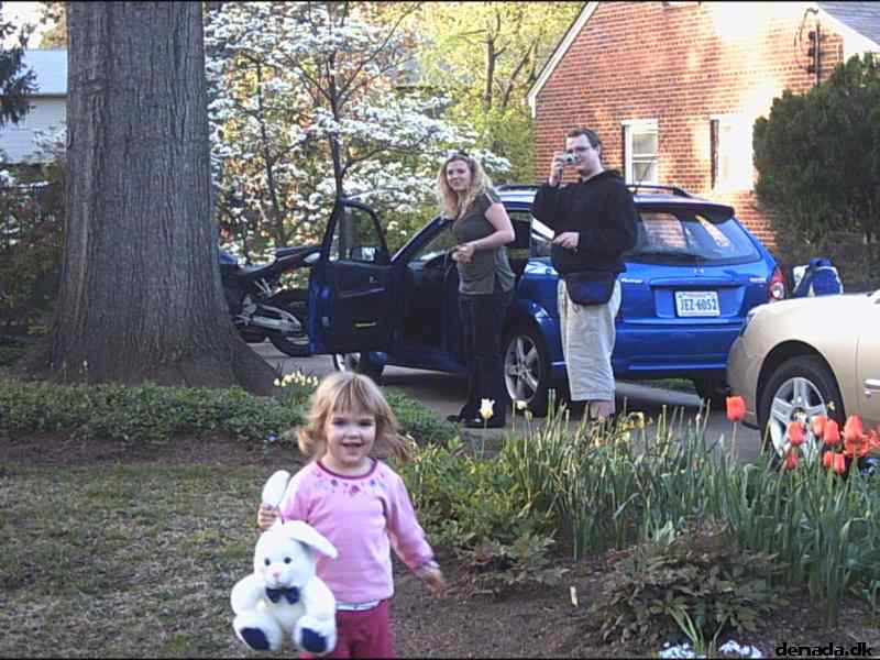 * Image 19