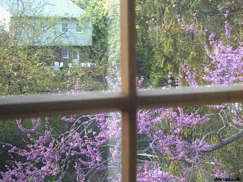 * Image 22
