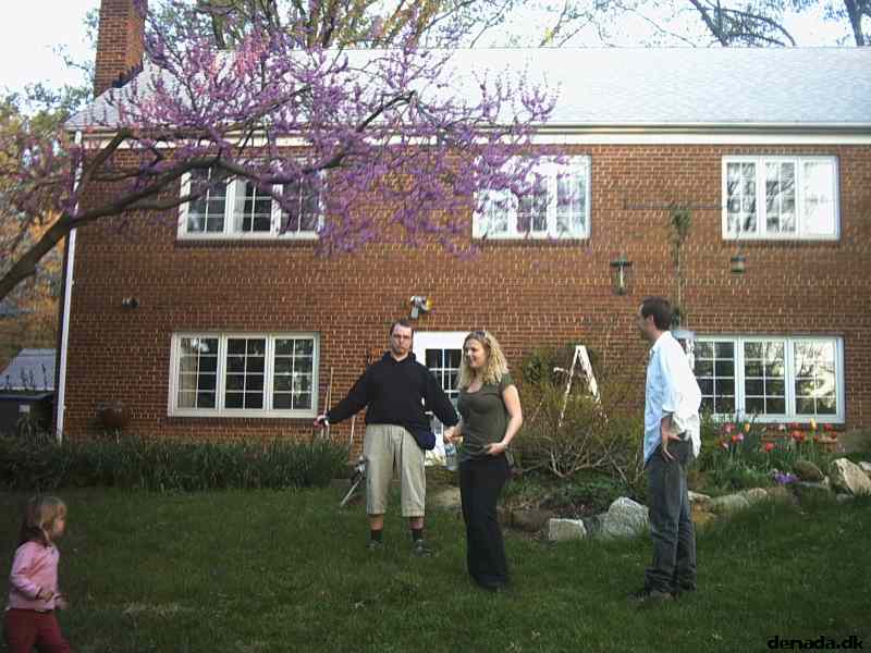 * Image 23