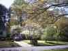PHTO0030.JPG - 2003:01:01 17:57