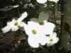 PHTO0035.JPG - 2003:01:01 18:02