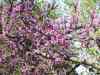 PHTO0036.JPG - 2003:01:01 18:02