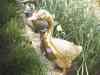 PHTO0040.JPG - 2003:01:01 18:08