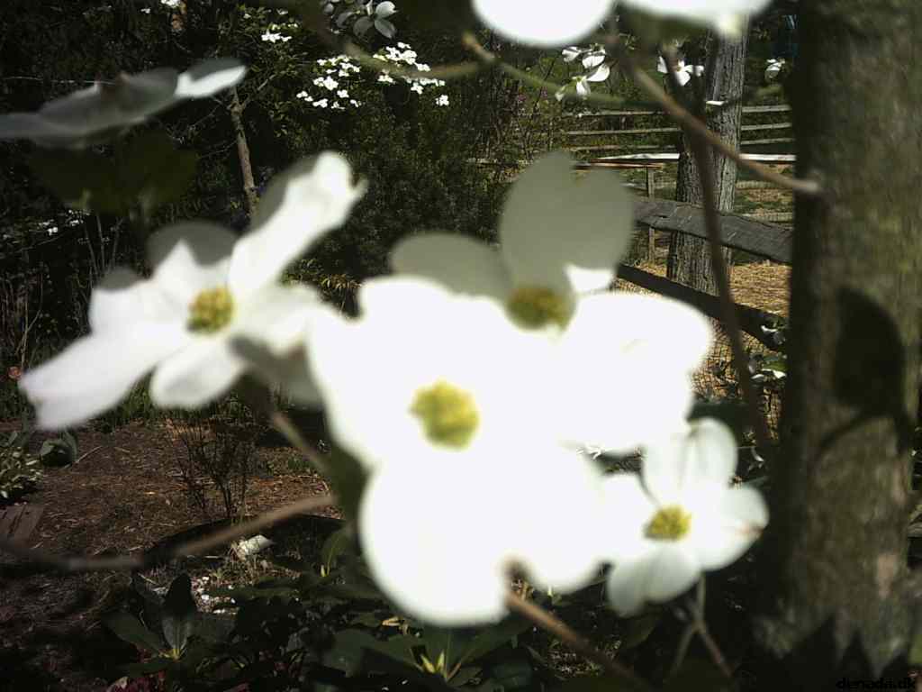 * Image 7
