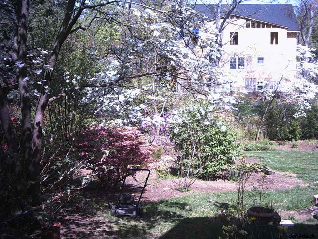 * Image 13
