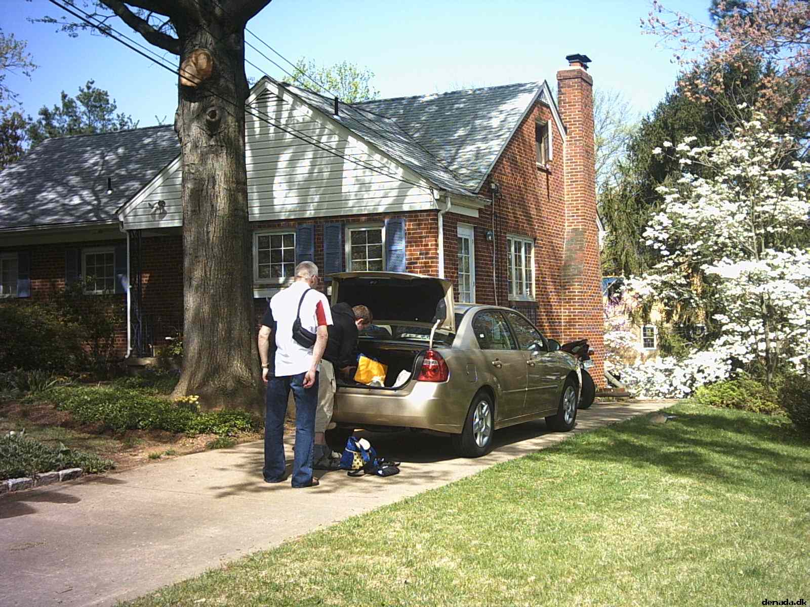 * Image 5