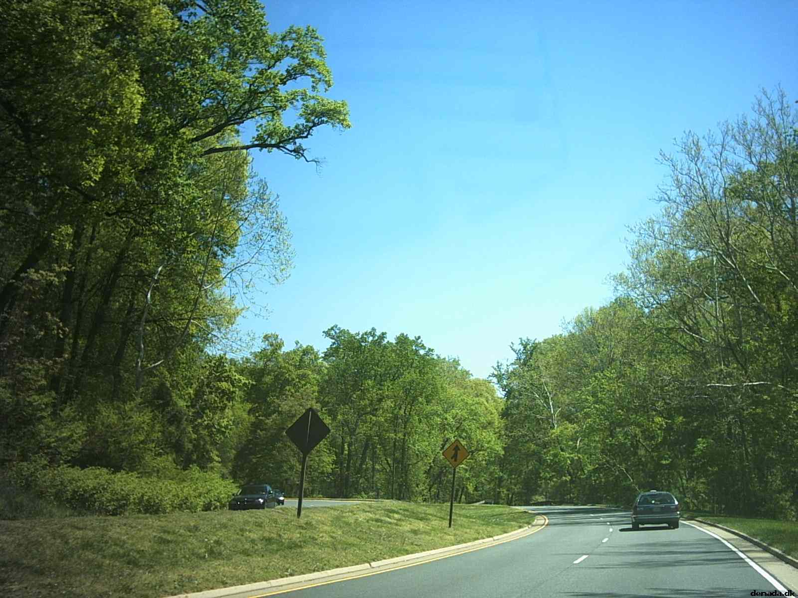 * Image 19