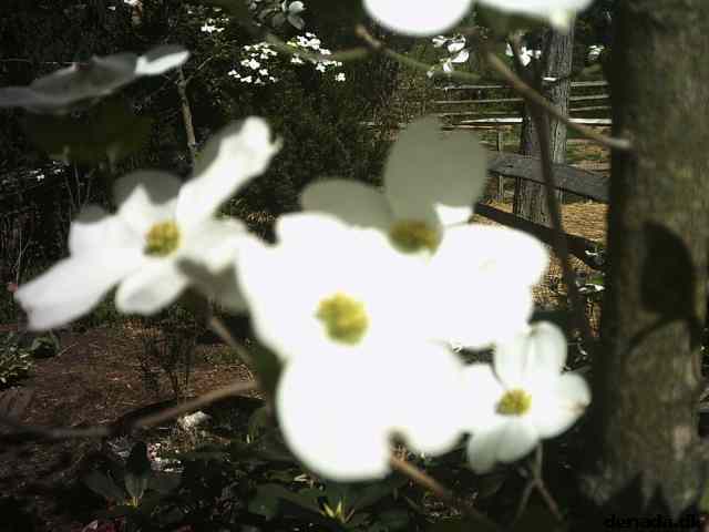 * Image 7