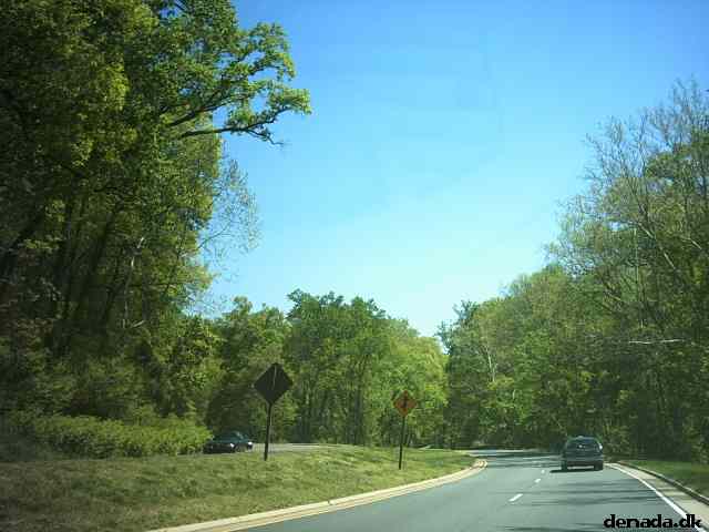 * Image 19