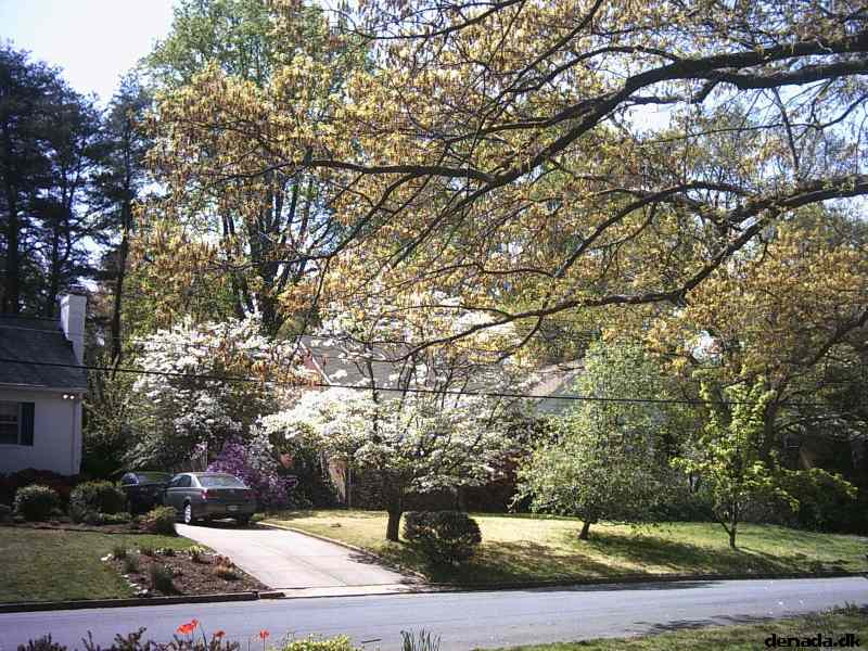 * Image 2