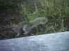 PHTO0091.JPG - 2003:01:01 17:59