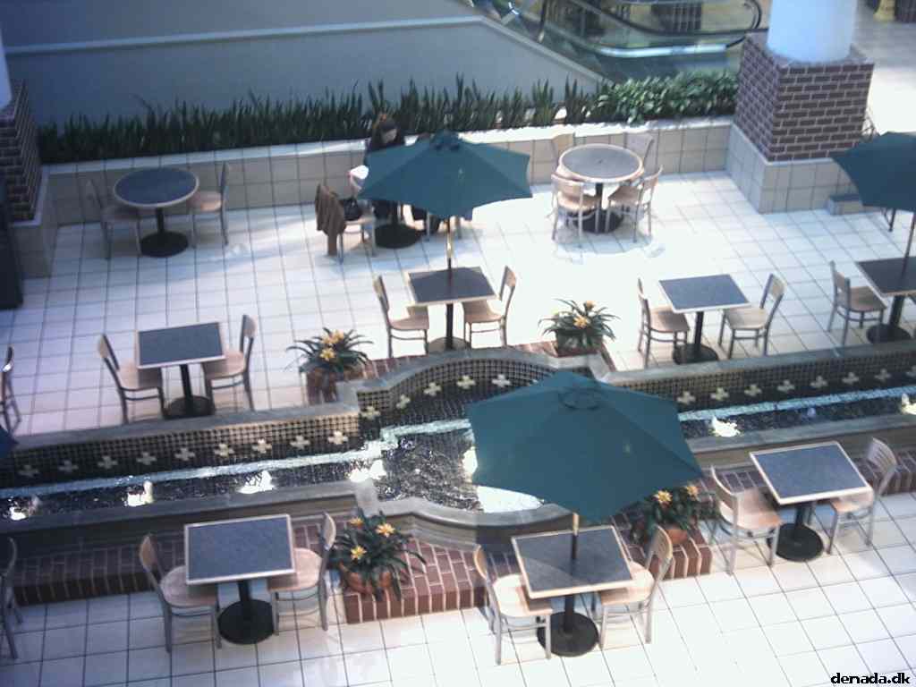 * Image 3