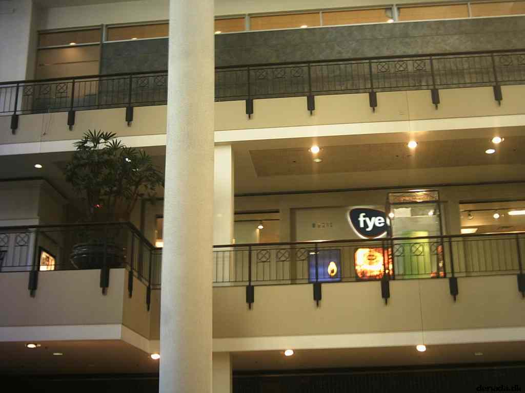 * Image 4