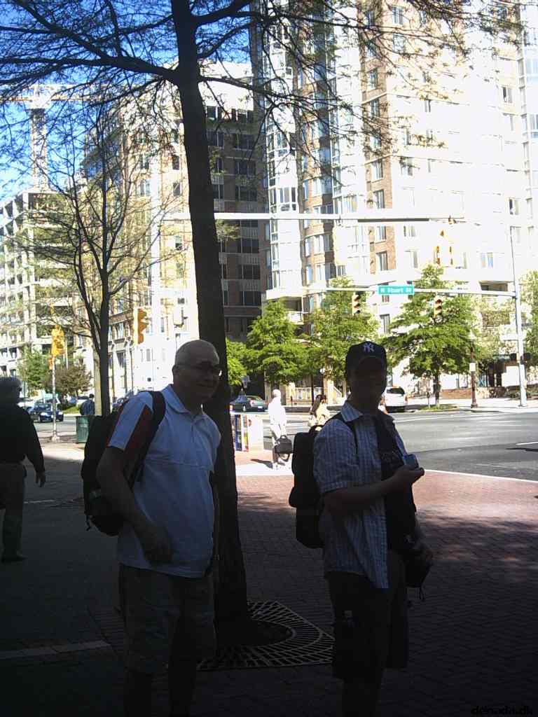 * Image 7
