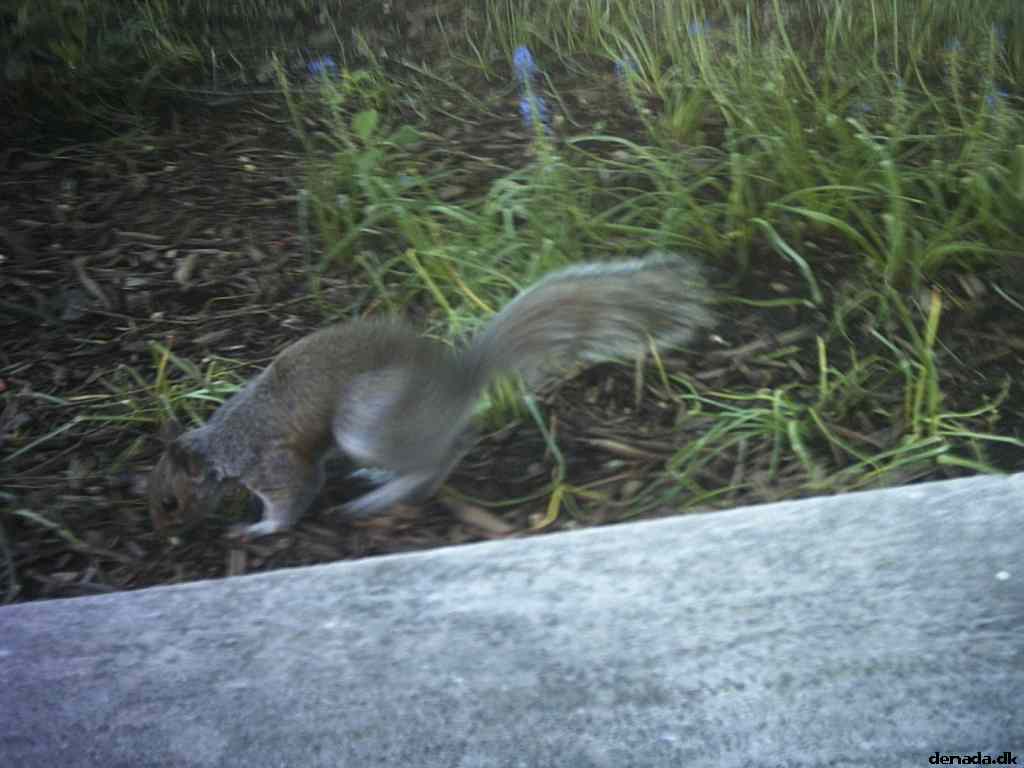 * Image 17