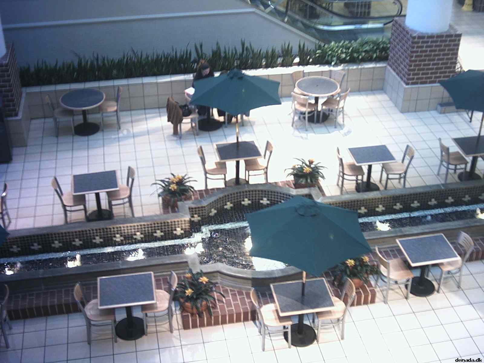 * Image 3