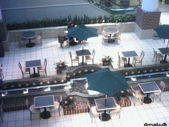 * Image 3