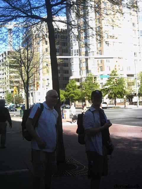 * Image 7