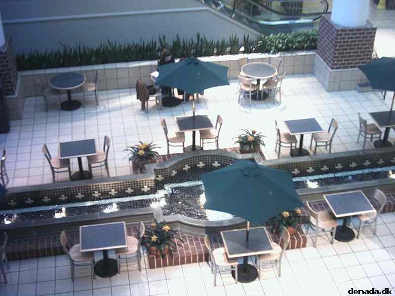 * Image 3
