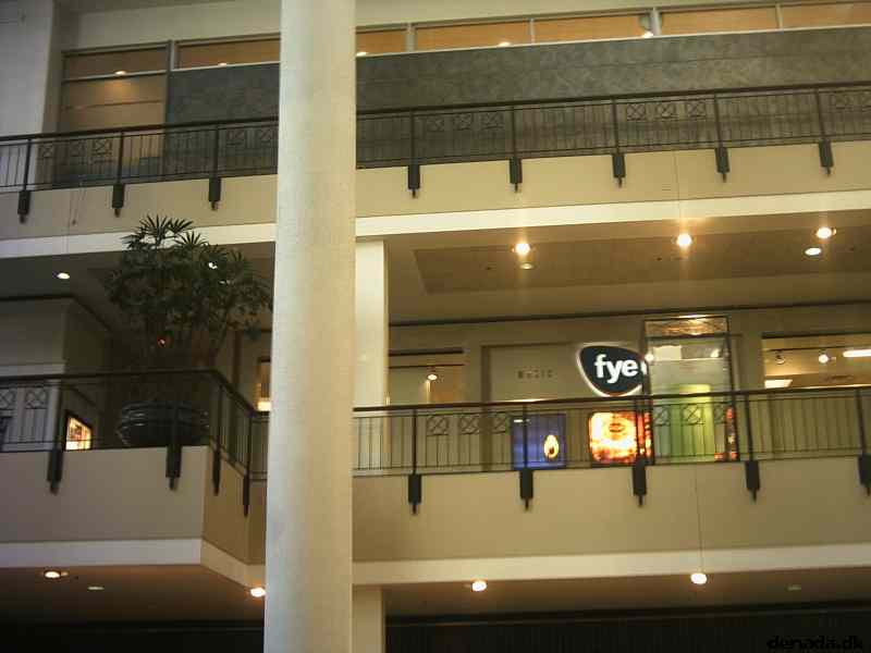 * Image 4