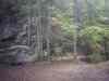 PHTO0147.JPG - 2003:01:03 01:17