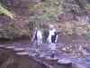 PHTO0149.JPG - 2003:01:03 01:20
