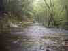 PHTO0151.JPG - 2003:01:03 01:22