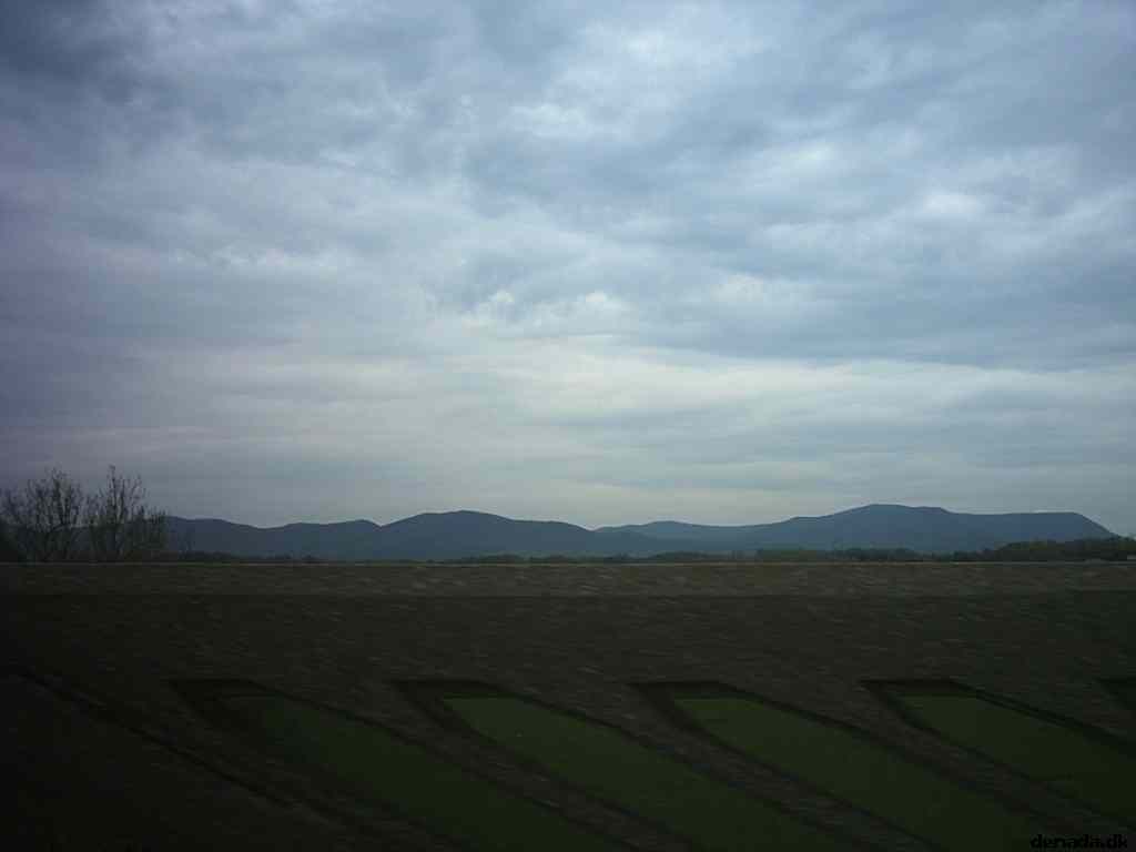 * Image 10