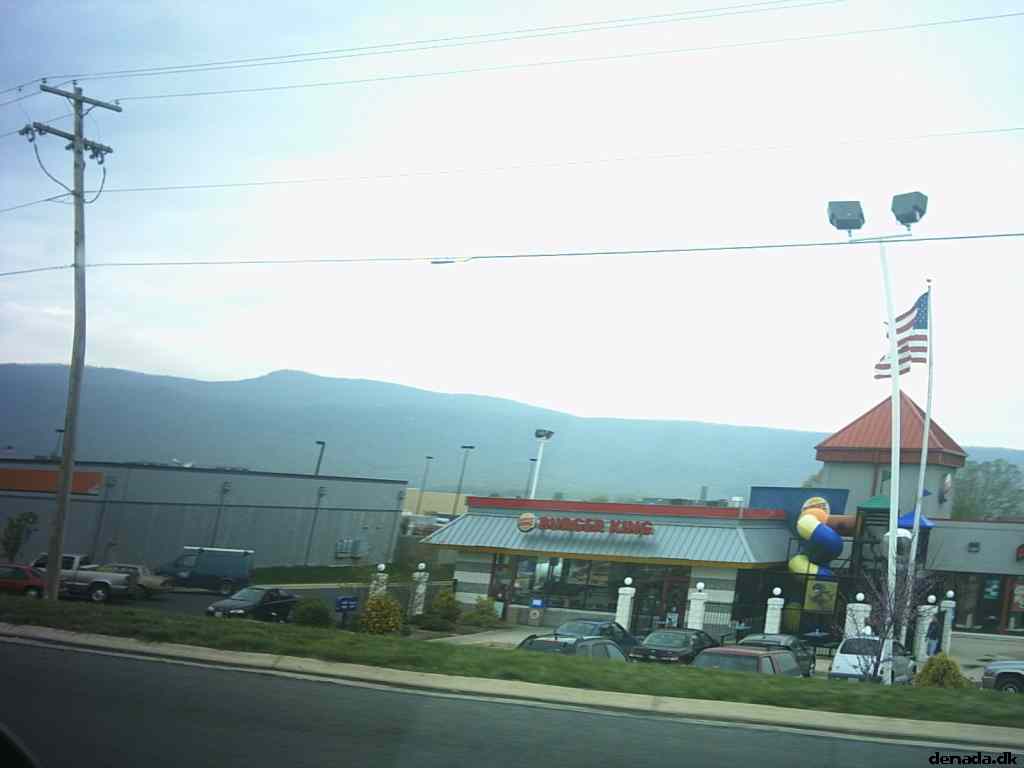 * Image 14